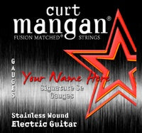 Guitar Stainless Steel