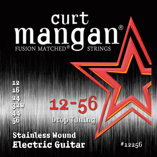 Guitar Stainless Steel