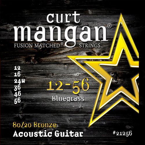 80/20 Bronze (acoustic) Set